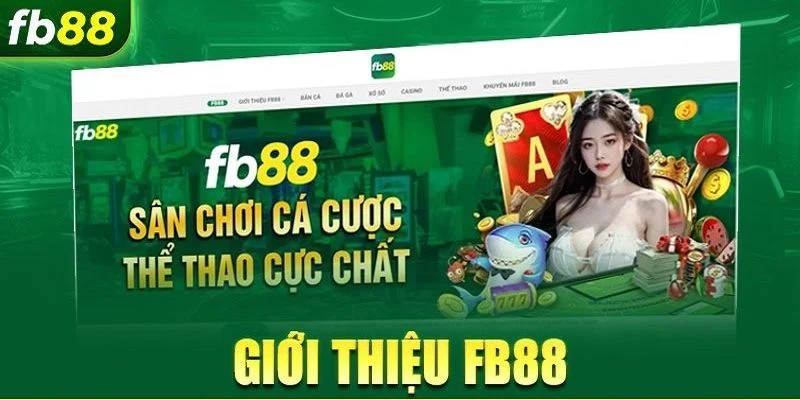 FB88 xây dựng được chỗ đứng vững chắc nhờ những ưu điểm nổi bật