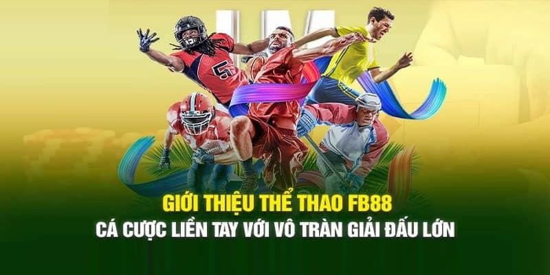 Thể thao luôn là một trong những sảnh được yêu thích nhất