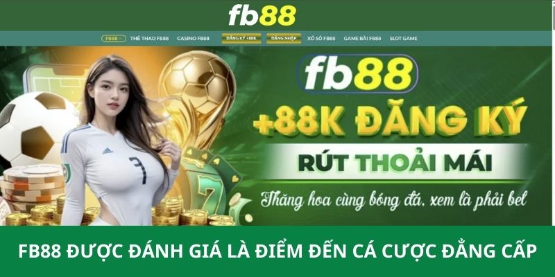 Hoàn tất đăng ký tài khoản khám phá dịch vụ đẳng cấp nhà cái mang đến